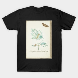 caterpillar and butterfly T-Shirt